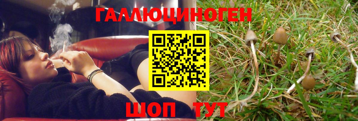как найти закладки  Вход с VPN  Алушта  Псилоцибиновые грибы прущие грибы 
